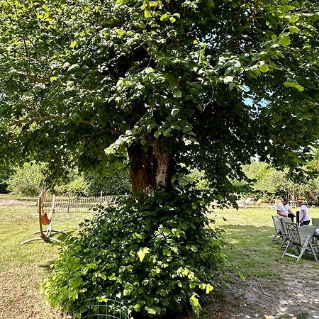 Maison Magnolia Onesse-et-Laharie Esterno foto
