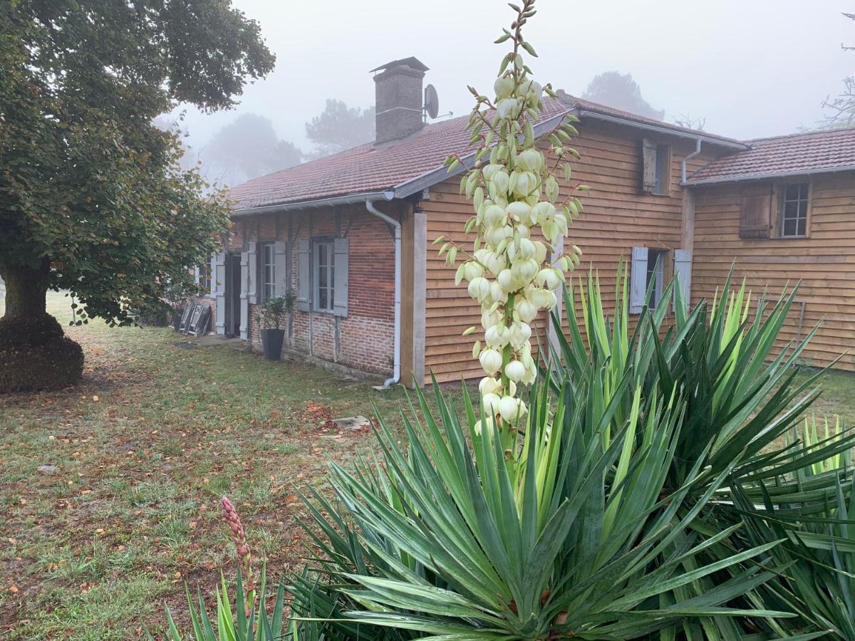 Maison Magnolia Onesse-et-Laharie Esterno foto
