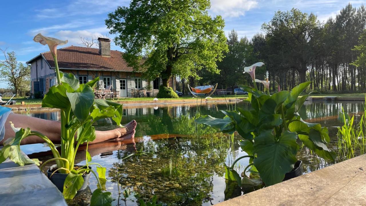 Maison Magnolia Onesse-et-Laharie Esterno foto