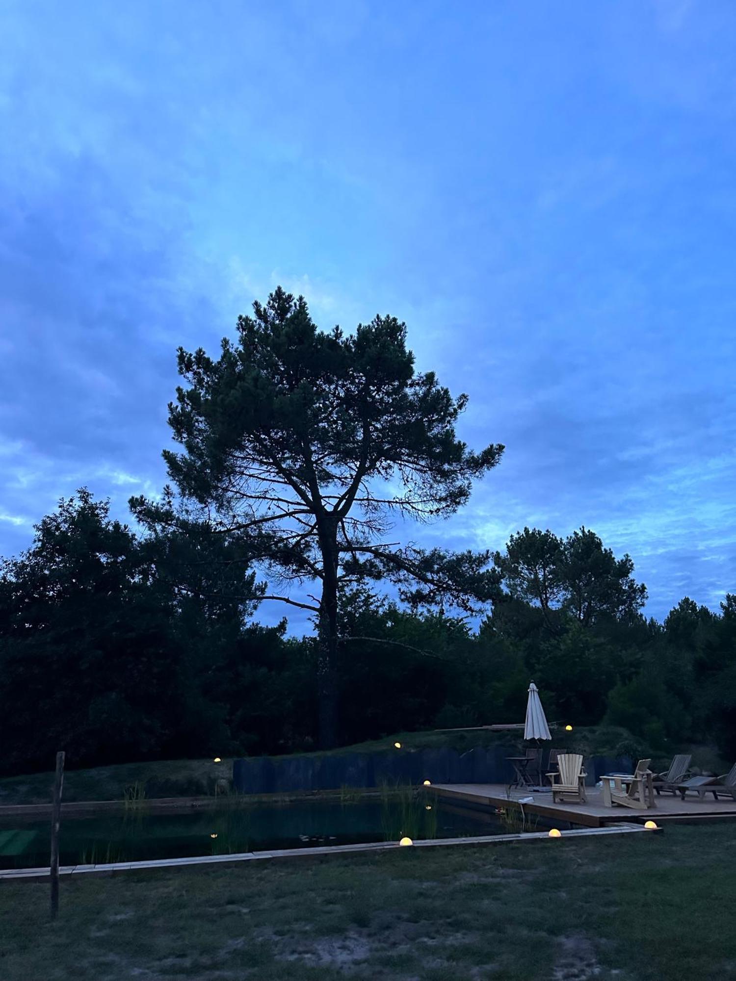 Maison Magnolia Onesse-et-Laharie Esterno foto