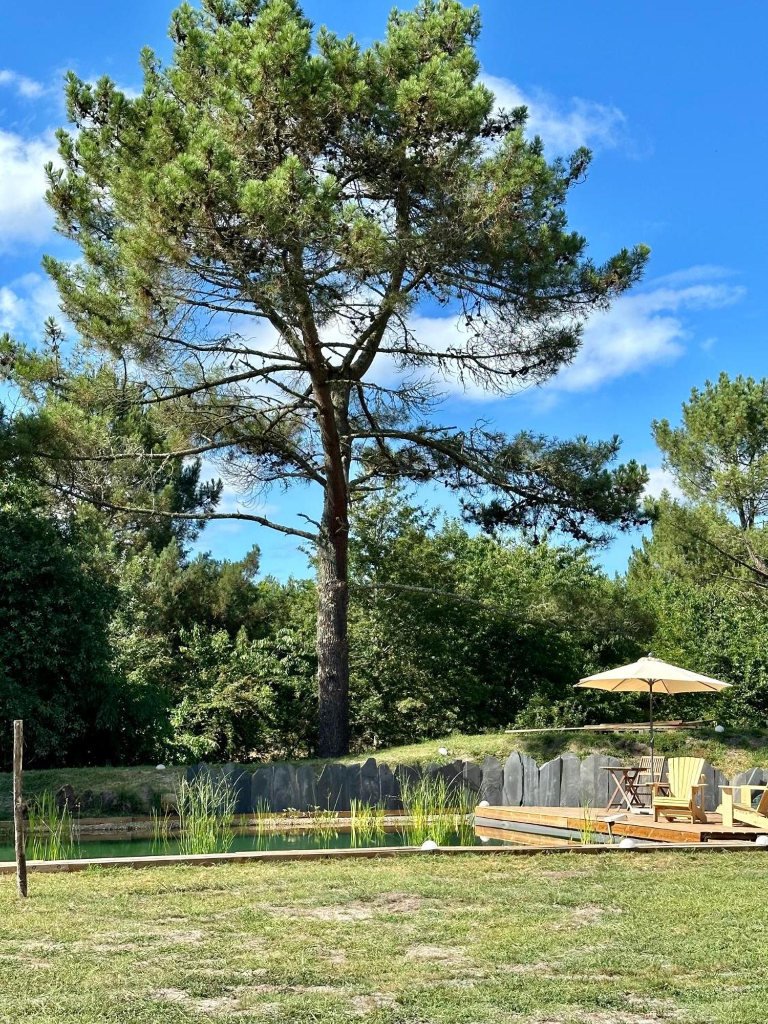 Maison Magnolia Onesse-et-Laharie Esterno foto